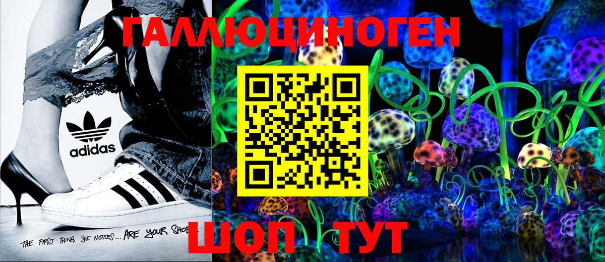 Фролово  Галлюциногенные грибы прущие грибы  Вход с VPN  Псилоцибиновые грибы ЛСД 