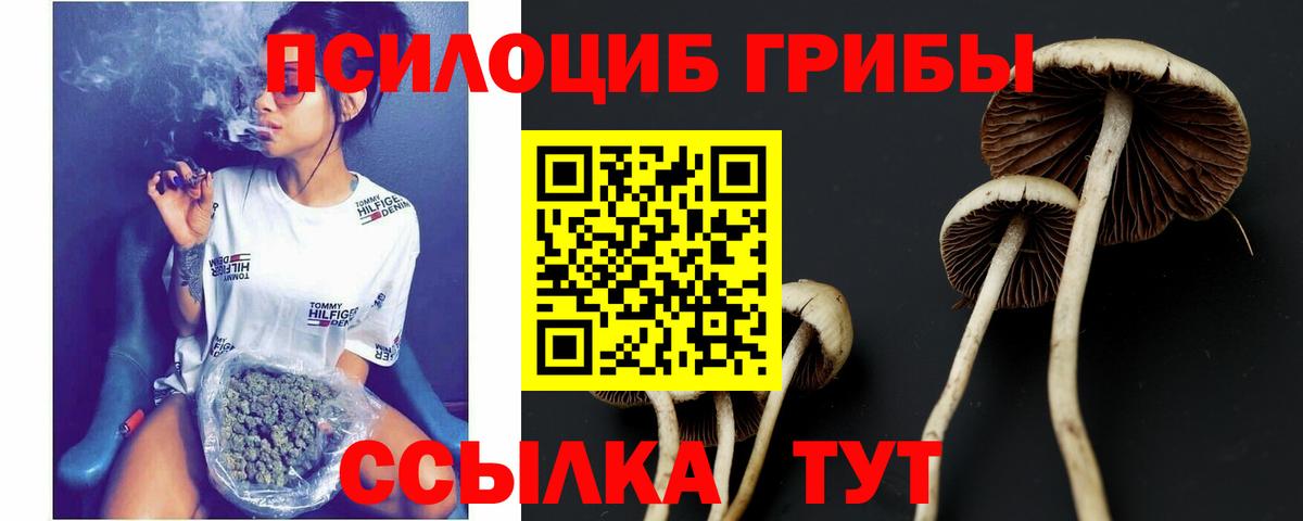 Галлюциногенные грибы ЛСД Фролово
